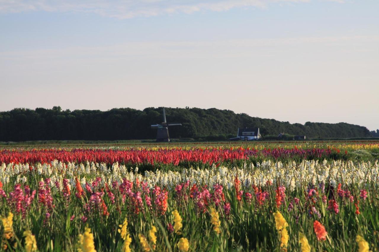Oudesluis Landgoed Swaensborgh公寓 外观 照片