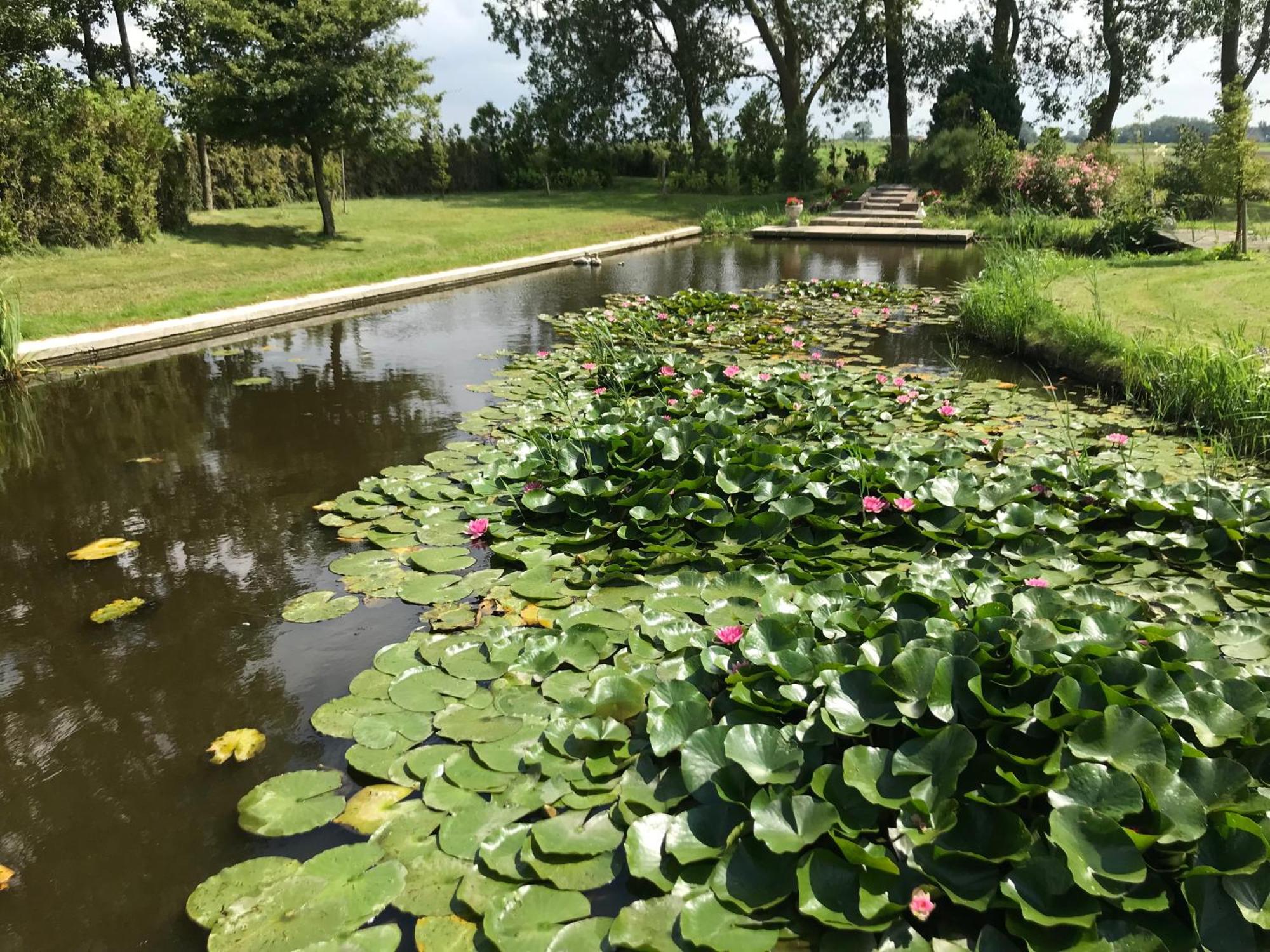 Oudesluis Landgoed Swaensborgh公寓 外观 照片